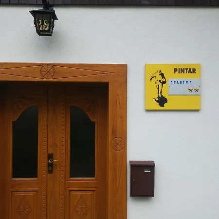 Apartma Pintar Cesnjica